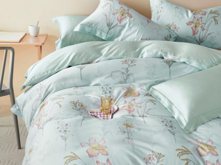 Постельное белье из тенсела ASABELLA 2128-6 50х70 (2шт) и 70х70 (2шт) евро