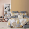 Постельное белье из твила TANGO TPIG4-1913 50х70 (1шт), 70х70 (1шт) 1,5-спальное
