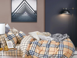 Постельное белье из твил-сатина в ПВХ TANGO барбарис 50х70 (2шт) евро