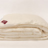 Одеяло кассетное GERMAN GRASS ORGANIC DOWN GRASS 240х260 всесезонное