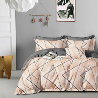 Постельное белье из сатина АЛЬВИТЕК CA-7-700 50х70 (2шт), 70х70 (2шт) семейное