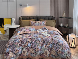 Постельное белье из египетского хлопка ASABELLA 1946-6 50х70 (2шт) и 70х70 (2шт) евро