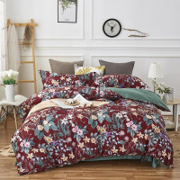 Постельное белье из египетского хлопка TANGO TIS-868 50х70 (1шт), 70х70 (1шт) 1,5-спальное