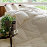 Одеяло кассетное GERMAN GRASS ORGANIC DOWN GRASS 200х200 всесезонное