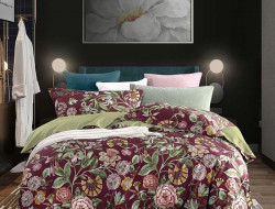 Постельное белье из египетского хлопка TANGO TIS-873 50х70 (1шт), 70х70 (1шт) 1,5-спальное