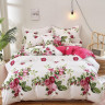 Постельное белье из твила TANGO роузи 50х70 (2шт) 2-спальное