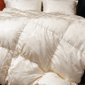 Одеяло кассетное GERMAN GRASS SILK DOWN GRASS 160х220 теплое