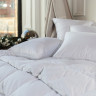 Подушка трехкамерная с бортиком GERMAN GRASS 3D WHITE FAMILIE DOWN упругая 50х90