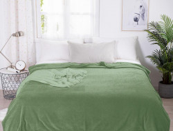 Плед однотонный из микрофибры TANGO SPIGA SP-11 зеленый 150х200