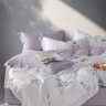 Постельное белье из тенсела ASABELLA 2013-6 50х70 (2шт) и 70х70 (2шт) евро