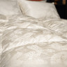 Одеяло кассетное GERMAN GRASS SILK DOWN GRASS 240х260 теплое