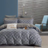 Постельное белье из твила TANGO гренис 50х70 (2шт) 2-спальное