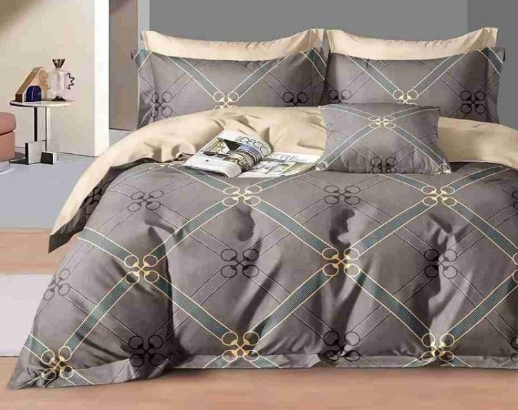 Постельное белье из сатина АЛЬВИТЕК CA-6-731 50х70 (2шт), 70х70 (2шт) евро