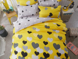 Постельное белье из микросатина TANGO DREAM FLY DF-115 50х70 (2шт) евро