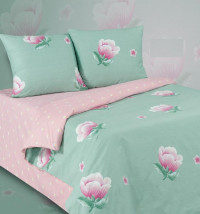 Постельное белье из поплина двухстороннее АЛЬВИТЕК ПА-3-735 евро