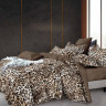 Постельное белье из микросатина TANGO DF-507 DREAM FLY 50х70 (1шт), 70х70 (1шт) 1,5-спальное