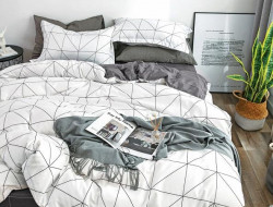 Постельное белье из микросатина TANGO DREAM FLY DF-179-50 50х70 (2шт) 2-спальное