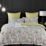 Постельное белье из египетского хлопка Premium ASABELLA 2110-7 50х70 (2шт) и 70х70 (2шт) семейное