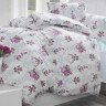 Постельное белье ALTINBASAK RANFORCE ARNES розовое 50х70 евро
