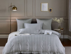 Постельное белье из египетского хлопка Premium ASABELLA 2111-6 50х70 (2шт) и 70х70 (2шт) евро