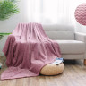 Плед из велсофта АЛЬВИТЕК SOFT PLUSH 015-SP 200х220