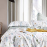 Постельное белье из тенсела ASABELLA 1960-6 50х70 (2шт) и 70х70 (2шт) евро