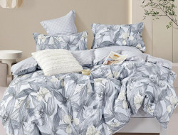Постельное белье из твила TANGO TPIG-1813-50 50х70 (2шт) 2-спальное